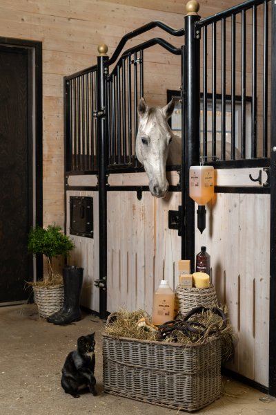 Hälsinge Stallsåpa